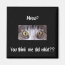 Suche nach tabbykatze Katzenartig