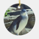 Suche nach pinguin ornamente Vögel