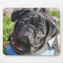 Suche nach schwarzer mops mousepads Niedlich