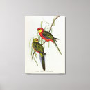 Suche nach vogel leinwandbilder Vögel