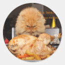 Suche nach wütende katze aufkleber Spaß