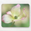 Suche nach hartriegel mousepads Baum