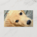 Suche nach domestiziert visitenkarten Hund