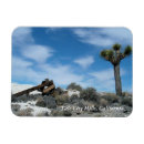 Suche nach joshua tree magnete Mojawüste