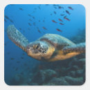 Suche nach galapagos aufkleber Südamerika