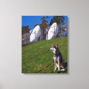 Suche nach kaninchen kunst poster Wandkunst