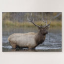 Suche nach elch puzzle Geweih