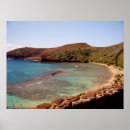 Suche nach coral reef poster Marine