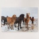 Suche nach isländisch puzzle Herde