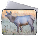 Suche nach hirsch laptop schutzhüllen Wildtiere