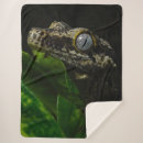 Suche nach gecko decken Tier