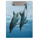 Suche nach delphin klemmbrett Tier