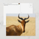 Suche nach masai postkarten Kenia