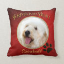 Suche nach erinnerung kissen Haustier