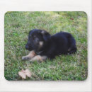 Suche nach schwarze schafe mousepads Hund