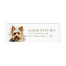 Suche nach yorkshire terrier Aquarell