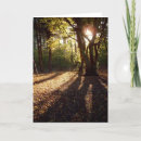 Suche nach licht und schatten karten Bäume