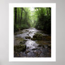 Suche nach ökologisch poster Wald