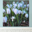 Suche nach weiße blume leinwandbilder Natur