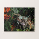 Suche nach reptil puzzle Tier