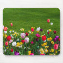 Suche nach bunte tulpen mousepads Natur