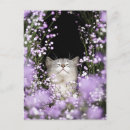 Suche nach zeichnen postkarten Künstlerisch