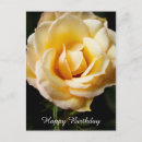 Suche nach gelbe rosen postkarten Geburtstag