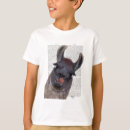 Suche nach lustiges lama tshirts Lamas