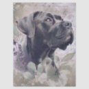 Suche nach mastiff geschenkverpackung Hund