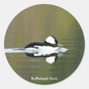 Suche nach entenaufkleber Natur