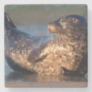 Suche nach la jolla untersetzer Baby