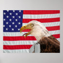 Suche nach weißkopfseeadler poster Amerika