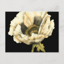 Suche nach schwarzer hintergrund postkarten Blume