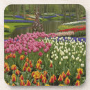Suche nach holland untersetzer Tulpe