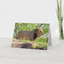 Suche nach dschungel karten Große katze