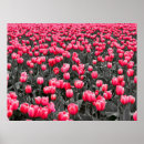 Suche nach rosa blumen kunst Fotografie
