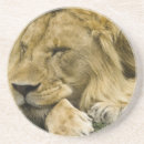 Suche nach afrikanischer löwe untersetzer Natur