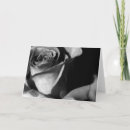 Suche nach rose und schwarz karten Flora