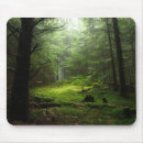 Suche nach baumstamm mousepads Wald