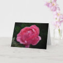 Suche nach tiefrosa karten Rose