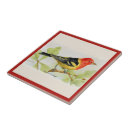 Suche nach rost fliesen Gelb