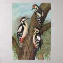 Suche nach friedrich poster Natur