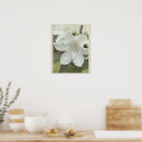 Suche nach blume foto poster Natur