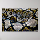 Suche nach schwarze schlange poster Python