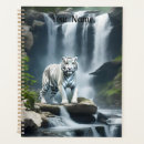 Suche nach weißer tiger Streifen