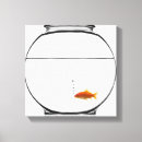 Suche nach goldfisch leinwandbilder Studioschuß