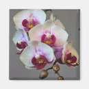 Suche nach miniatur magnete Blume
