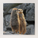 Suche nach meerkat puzzle Natur