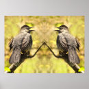 Suche nach gelber vogel poster Grau