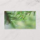 Suche nach immergrün visitenkarten Kiefer